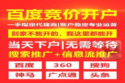 网络推广竞价策略解析与应用案例